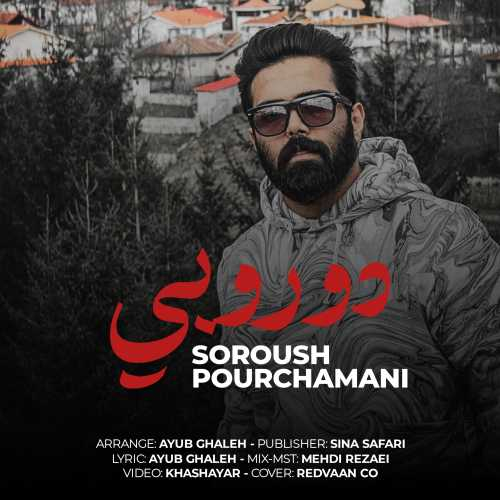 سروش پورچمنی دو رو‌ بی